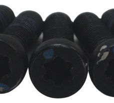 Jogo Parafuso Roda Traseira Bmw R1250 Gs 19-24 Original