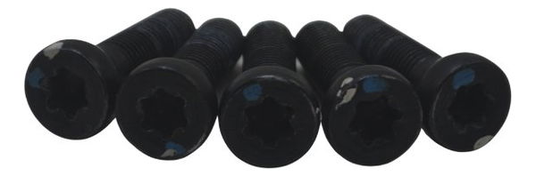 Jogo Parafuso Roda Traseira Bmw R1250 Gs 19-24 Original