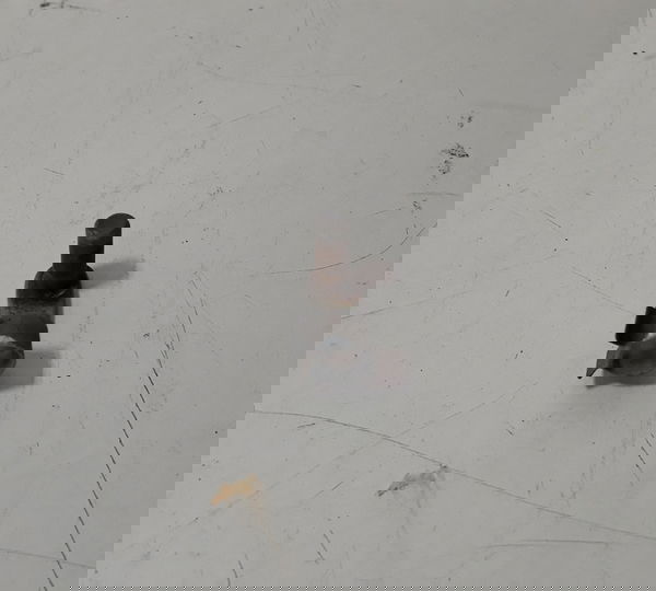 Trava Pedal Freio Bmw R1150 Gs 02/02 Orig 52275