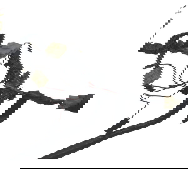 Chicote Principal C/detalhes Yamaha Xt 600 97-04 Original