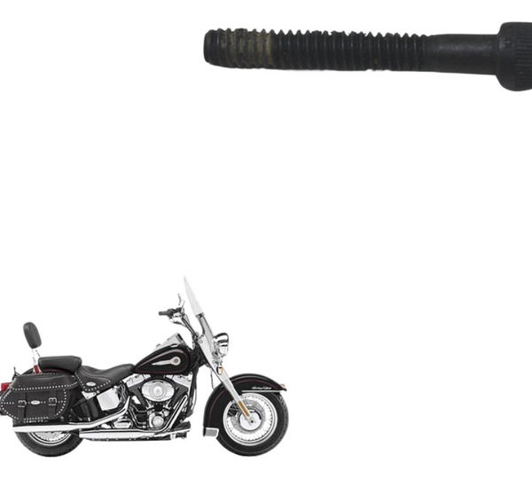 Parafuso Estator Harley Softail Heritage Classic 07-10 Origi