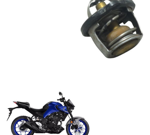 Válvula Termostática Yamaha Mt 03 20-25 Original
