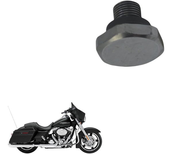 Parafuso Bengala Harley Street Glide Touring 11-13 Original