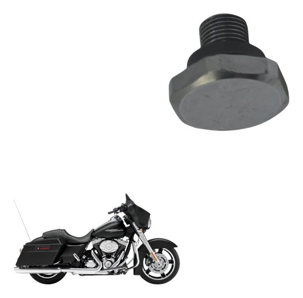 Parafuso Bengala Harley Street Glide Touring 11-13 Original