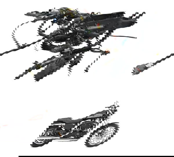 Chicote Principal Harley Sportster Xl 883r 08-09 Original