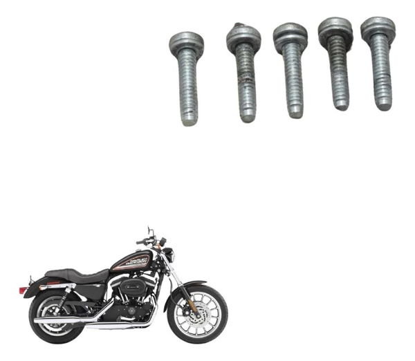 Jogo Parafuso Bomba Combus Harley Sportster Xl 883r 08-09