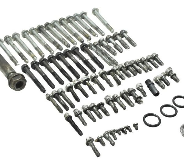 Kit Parafusos Motor Harley Sportster Xl 883r 08-09 Original