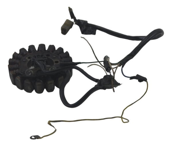 Estator C/ Detalhes Yamaha Xt 600 97-04 Original