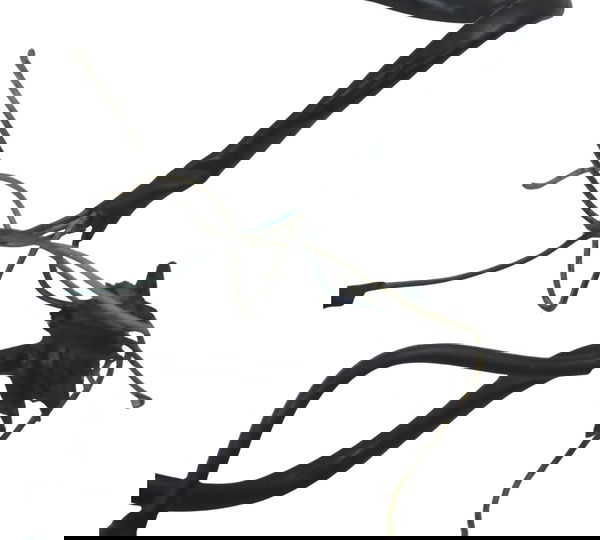 Estator C/ Detalhes Yamaha Xt 600 97-04 Original