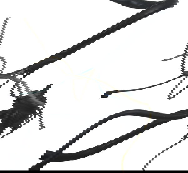 Estator C/ Detalhes Yamaha Xt 600 97-04 Original