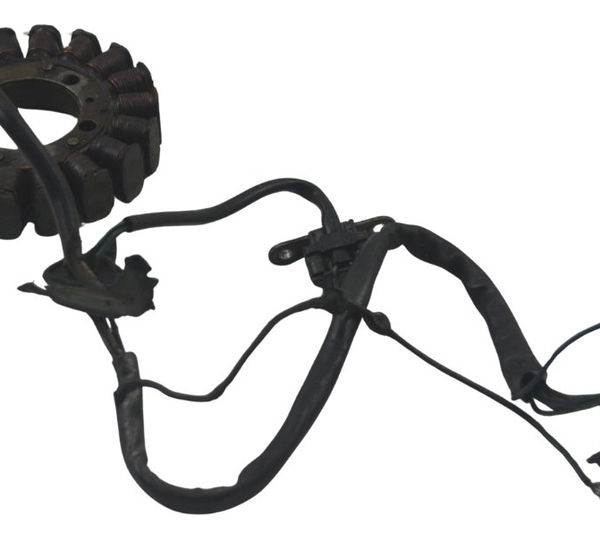 Estator C/ Detalhes Yamaha Xt 600 97-04 Original