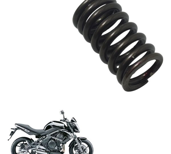 Mola Válvula Kawasaki Er 6n 10-12 Original