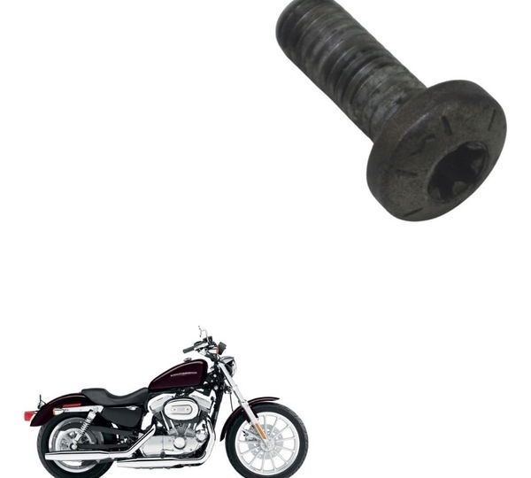 Parafuso Disco Freio Diant Harley Xl 883 Sportster 04-06