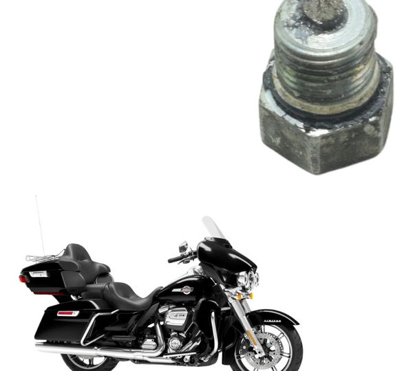Bujão Óleo Harley Electra Touring M8 114 19-23 Original