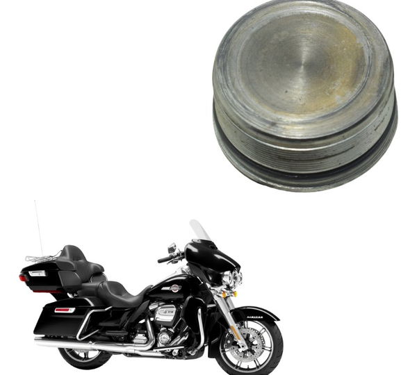 Porca Bengala Harley Electra Touring M8 114 19-23 Original