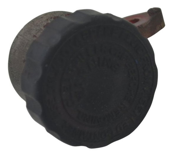 Reservatório Freio Traseiro Yamaha Xt 600 97-04 Original