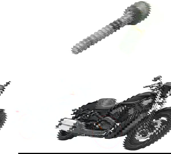 Parafuso Disco Freio Traseiro Harley Night Rod 07-11 Orig