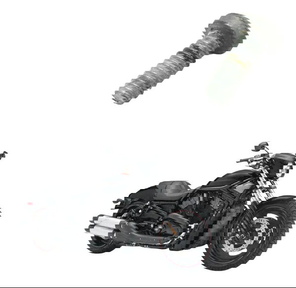 Parafuso Disco Freio Traseiro Harley Night Rod 07-11 Orig