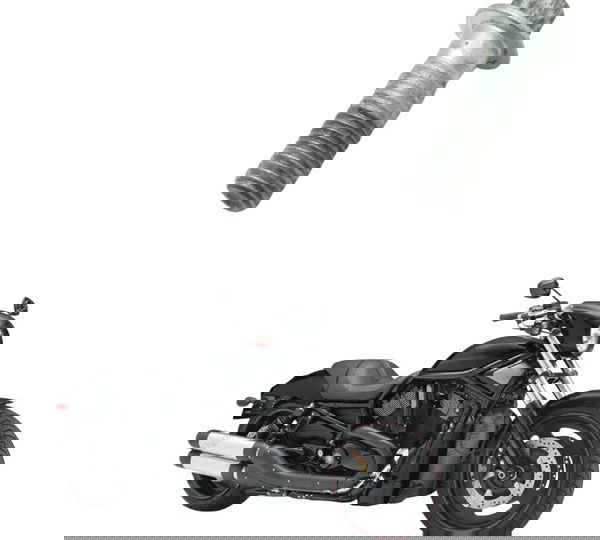 Parafuso Pinça Freio Dianteira Harley Night Rod 07-11 Orig