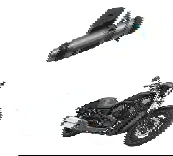 Bico Injetor Harley Night Rod 07-11 Original