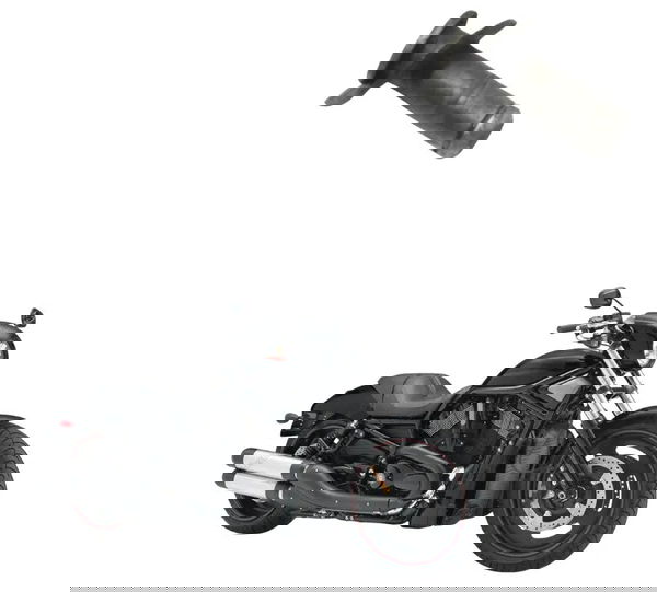 Pino Pedaleira Traseira Harley Night Rod 07-11 Original