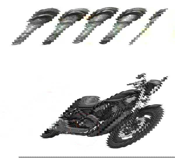 Jogo Parafuso Disco Freio Diant Harley Night Rod 07-11 Orig