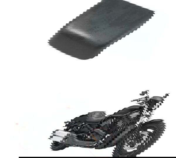 Capa Luz Placa Harley Night Rod 12-17 Original