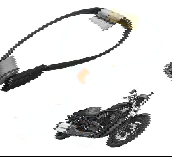 Chicote Antena Harley Night Rod 07-11 Original