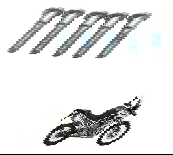 Jogo Parafuso Disco Freio Triumph Tiger 1200 Rally Ex 22-26