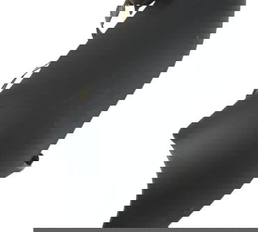 Capa Escape Dianteira C/detalhe Harley Night Rod 07-11 Origi