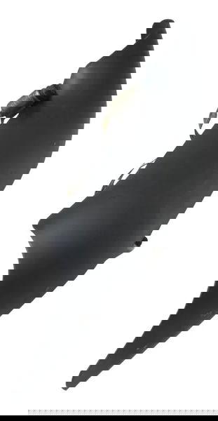 Capa Escape Dianteira C/detalhe Harley Night Rod 07-11 Origi