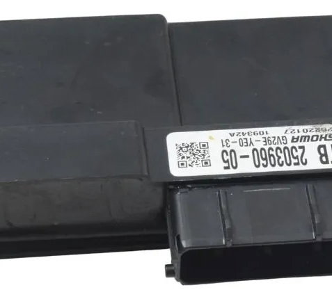 Módulo Suspensão Triumph Tiger 1200 Rally Ex 22-26 Original