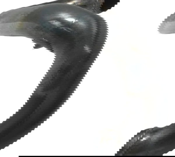 Curva Escape Traseiro Harley Night Rod 07-11 Original