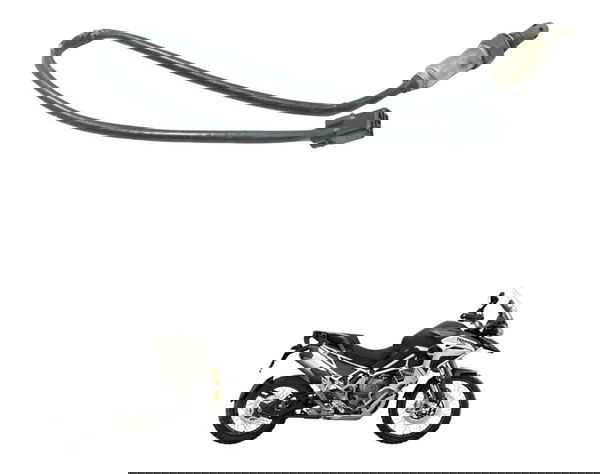 Sonda Lambda Triumph Tiger 1200 Rally Ex 22-26 Original