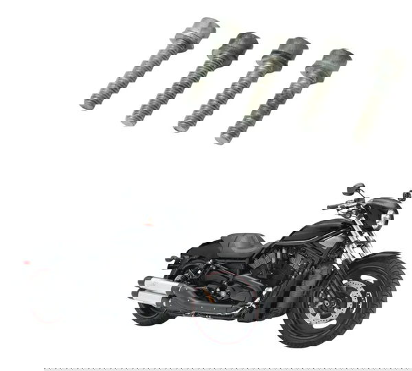 Jogo Parafuso Bobina Ignição Harley Night Rod 07-11 Original