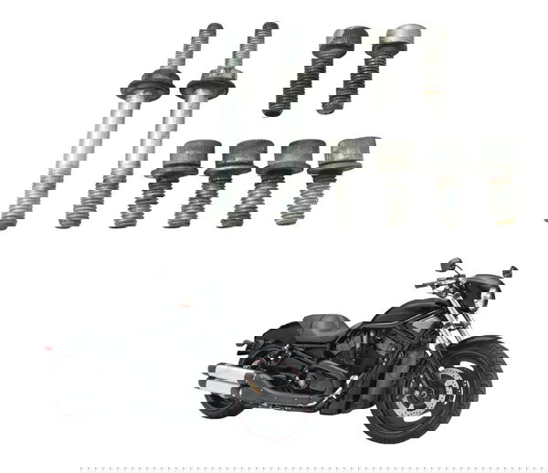 Jogo Parafuso Fixação Motor Harley Night Rod 07-11 Original