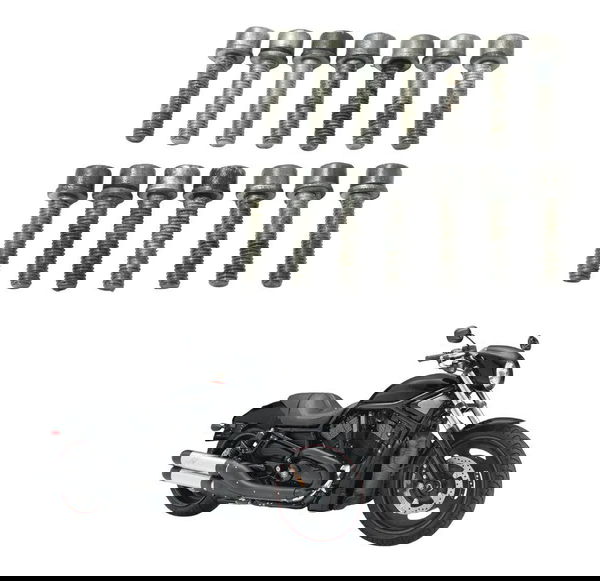 Jogo Parafuso Tampa Motor Estator Harley Night Rod 07-11 Prateado