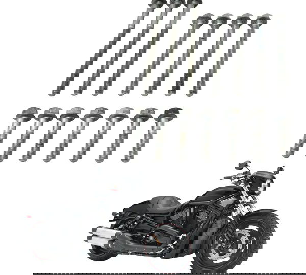 Jogo Parafuso Bloco Motor Harley Night Rod 07-11 Original