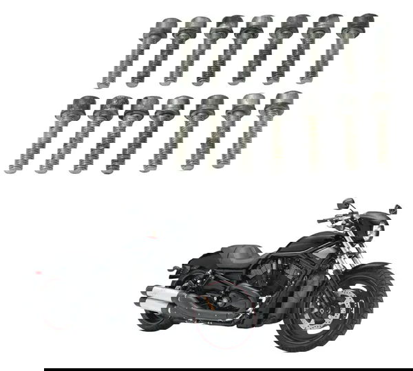 Jogo Parafuso Tampa Motor Embreagem Harley Night Rod 07-11 Prateado