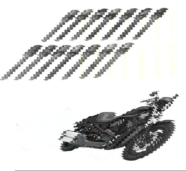 Jogo Parafuso Tampa Motor Embreagem Harley Night Rod 07-11 Prateado