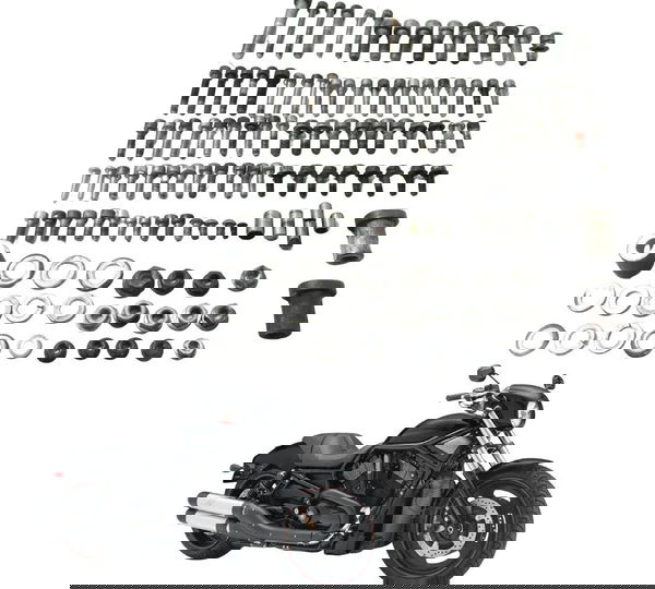 Kit Parafuso Diversos Harley Night Rod 07-11 Original