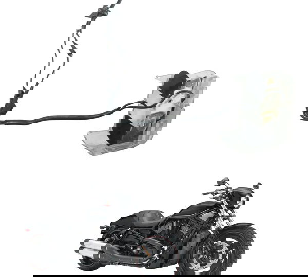 Luz Placa C/ Avaria Harley Night Rod 12-17 Original