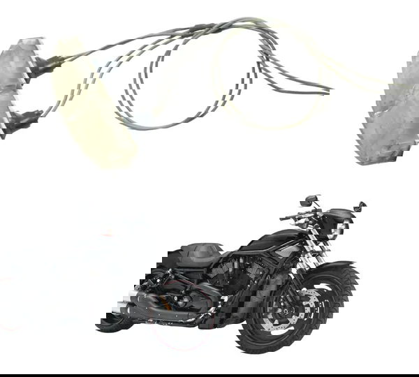 Luz Placa C/avaria Harley Night Rod 07-11 Original