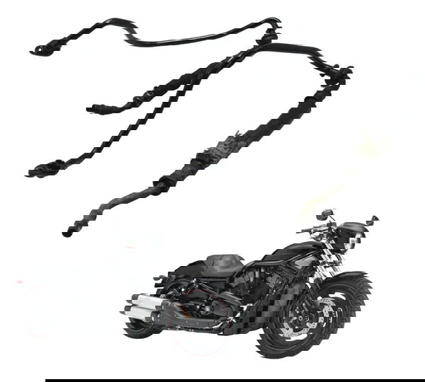 Par Mangueira Radiador C/detalhes Harley Night Rod 07-11 Org