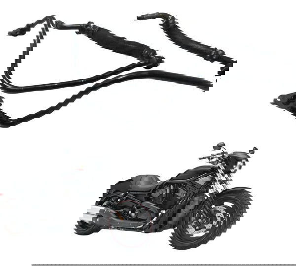 Par Mangueira Radiador Óleo Harley Night Rod 07-11 Original