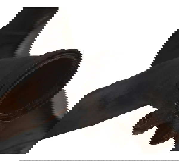 Curva Escape Suzuki Dl 1000 V-strom 05-11 Original