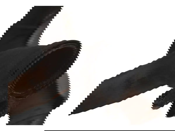 Curva Escape Suzuki Dl 1000 V-strom 05-11 Original