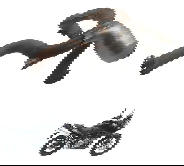 Curva Escape Suzuki Dl 1000 V-strom 05-11 Original