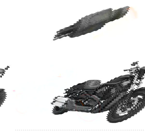 Interruptor Freio Traseiro Harley Night Rod 07-11 Original