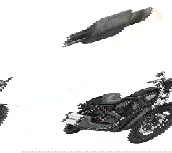 Interruptor Freio Traseiro Harley Night Rod 07-11 Original